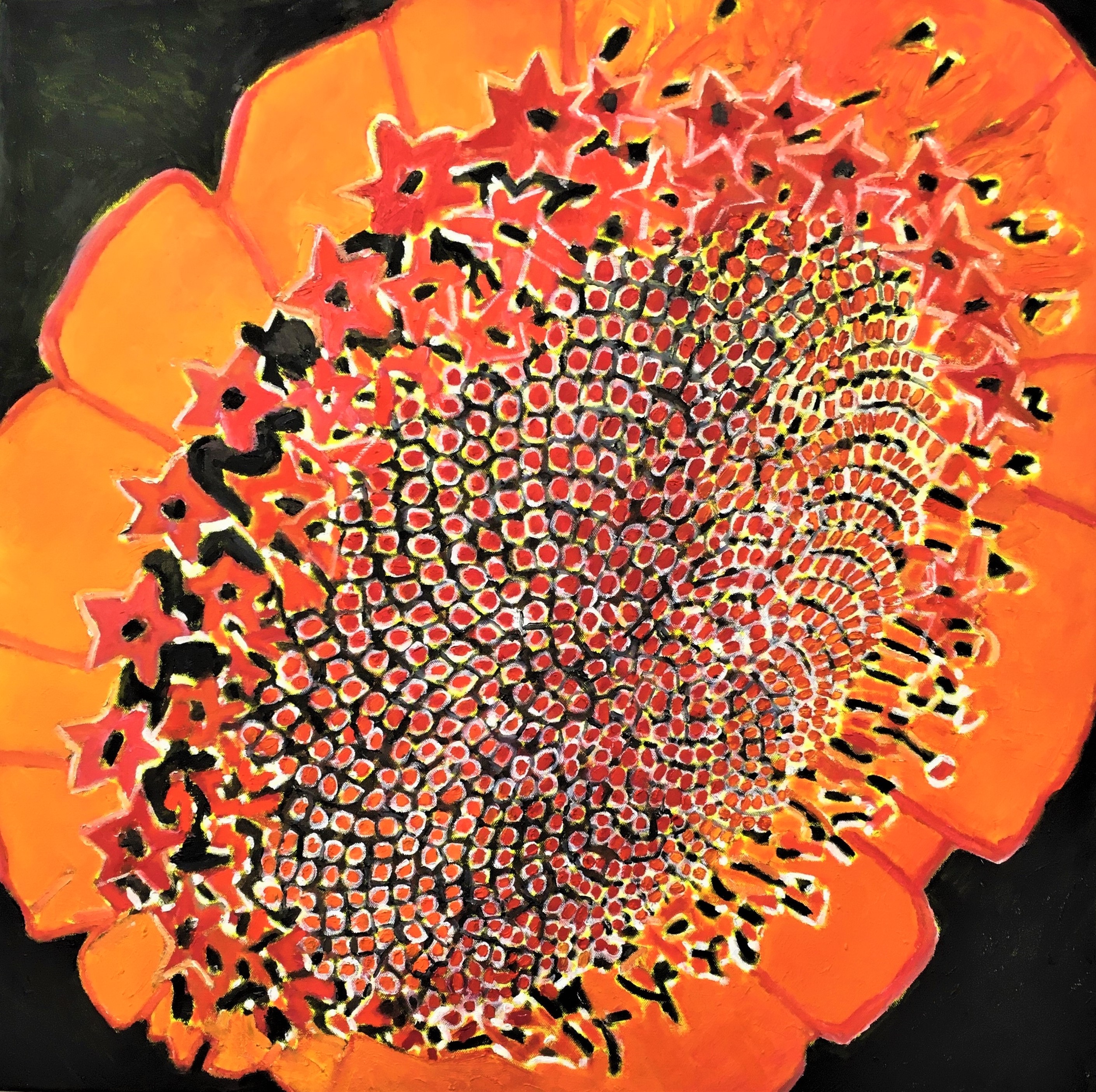 Seeds